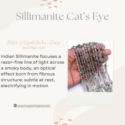 Natural Sillimanite Cats Eye Beads From India 4X5.5 to 8X10.5mm Approx. 57.5 Ct Approx. 8 inch Oval Shape Black Color Smooth Beads.