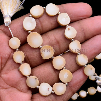 Natural Coral slice smooth beads, 63.5 carat, 9x9.5–12.5x13mm, 8-inch strand, untreated gemstone from USA for bold jewelry designs.