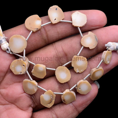 Natural Coral slice smooth beads, 48.5 carat, 6x6.5–14.5x15.5mm, 8-inch strand for bold and elegant jewelry designs.