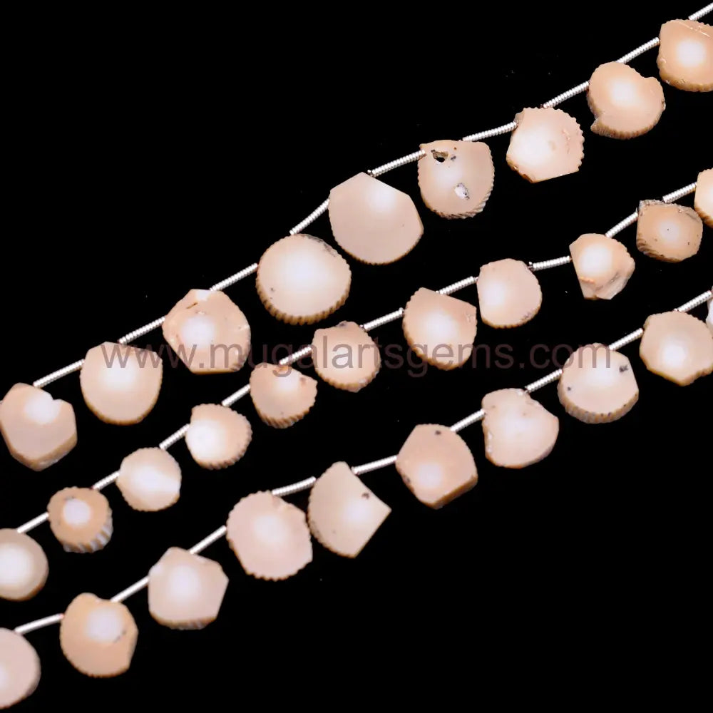 Natural Coral slice smooth beads, 48.5 carat, 6x6.5–14.5x15.5mm, 8-inch strand for bold and elegant jewelry designs.