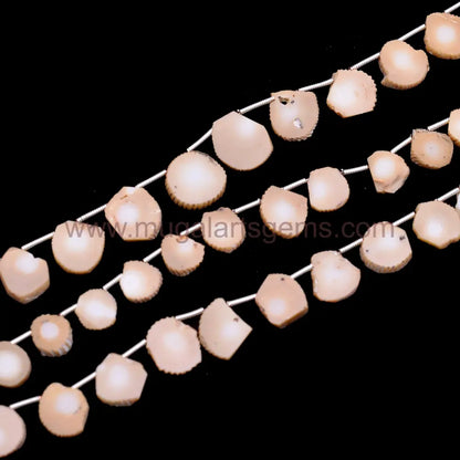 Natural Coral slice smooth beads, 48.5 carat, 6x6.5–14.5x15.5mm, 8-inch strand for bold and elegant jewelry designs.