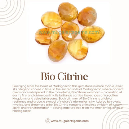 Loose Bio Citrine gemstone 10x12.5mm from Madagascar - polished clarity for custom jewelry
